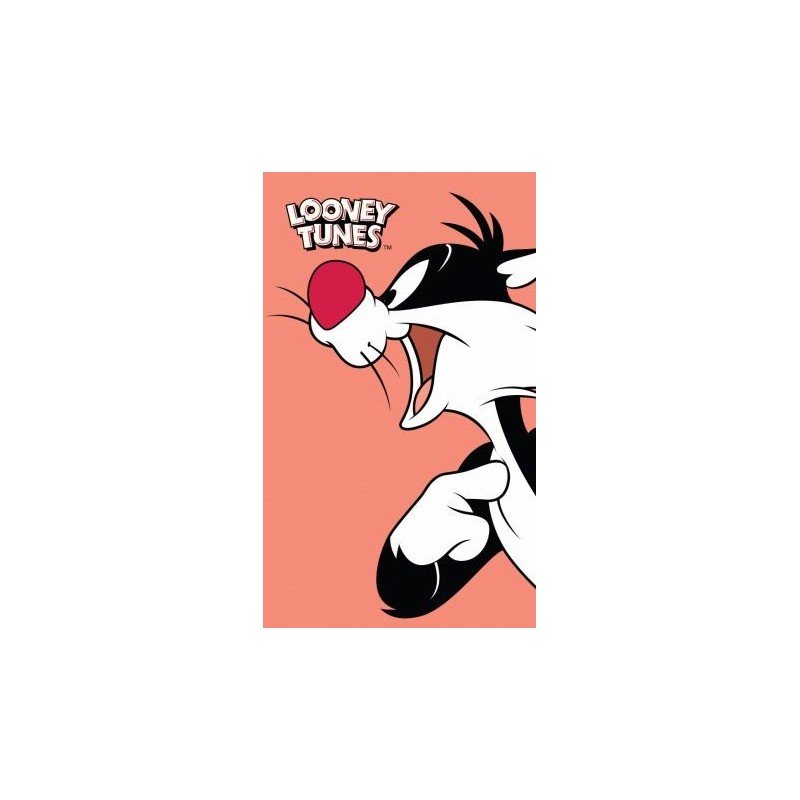 Looney Tunes Hand Towels