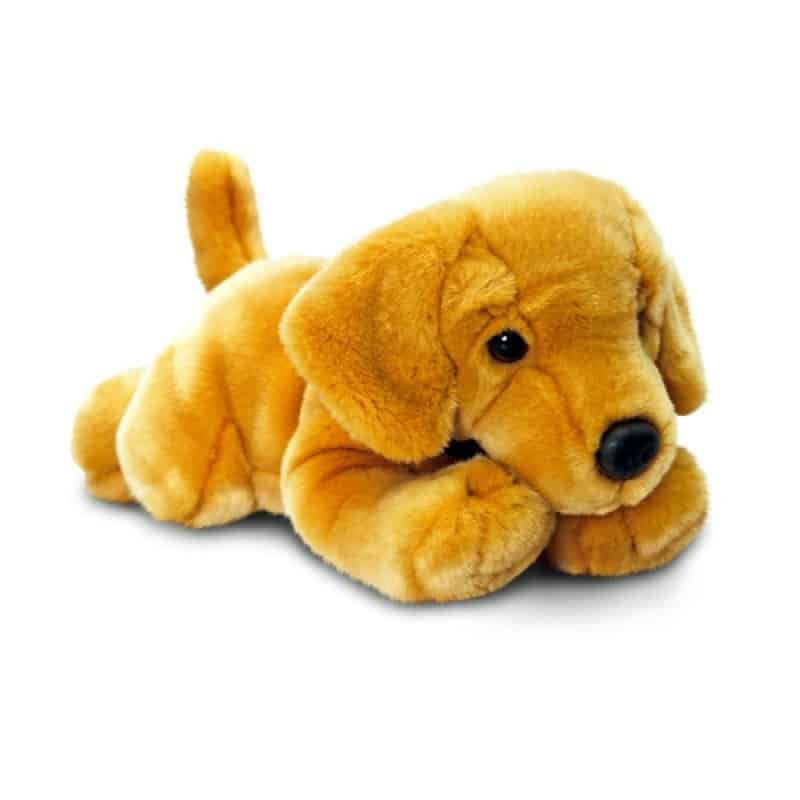 peluche chien labrador