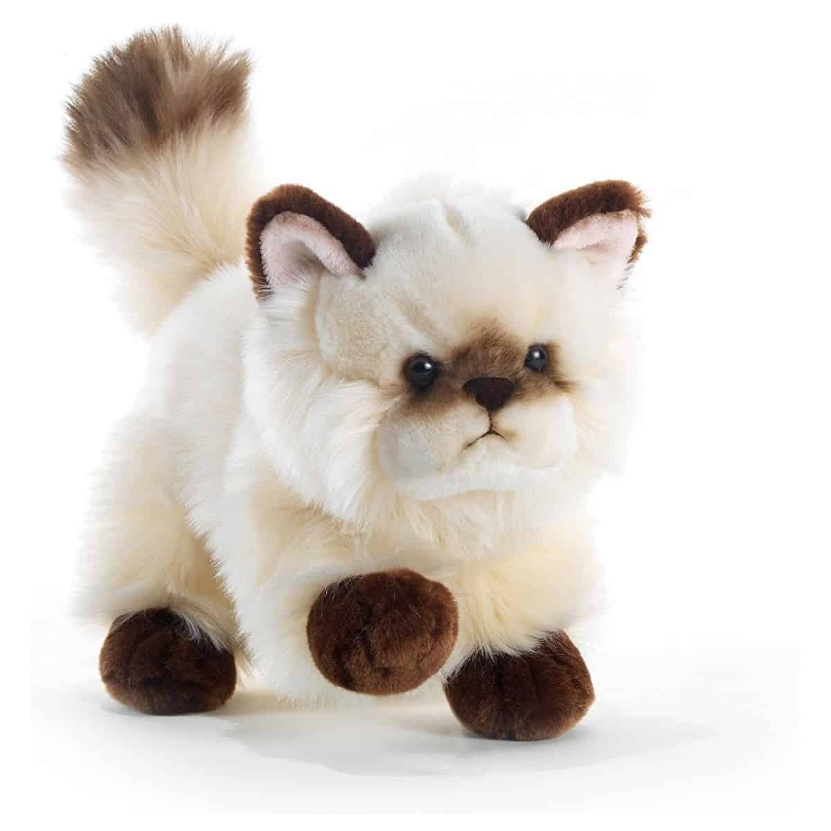 Peluche Chat Thaytoo 21 cm | Plush And Company | BellePeluche
